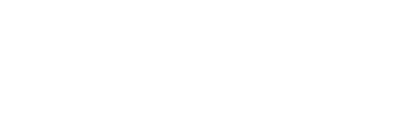 Nobel International School | International School in Petaling Jaya's logo